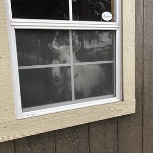 Meet your Posher, Lori